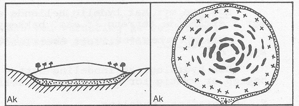 Konsentrisk høgmyr (ei undergruppe av ekte høgmyr), sett frå sida og ovanfrå.