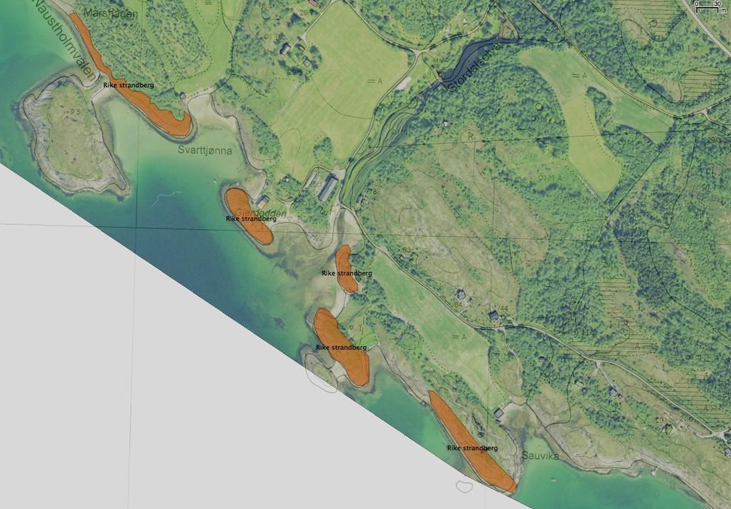 LURØY KOMMUNE Side 5 av 13 Det ble ikke registrert noen spesielt sjeldne eller rødlistede arter. Forekomsten har verdi B. Det er relativt sparsomt artsmangfold, men typiske arter.