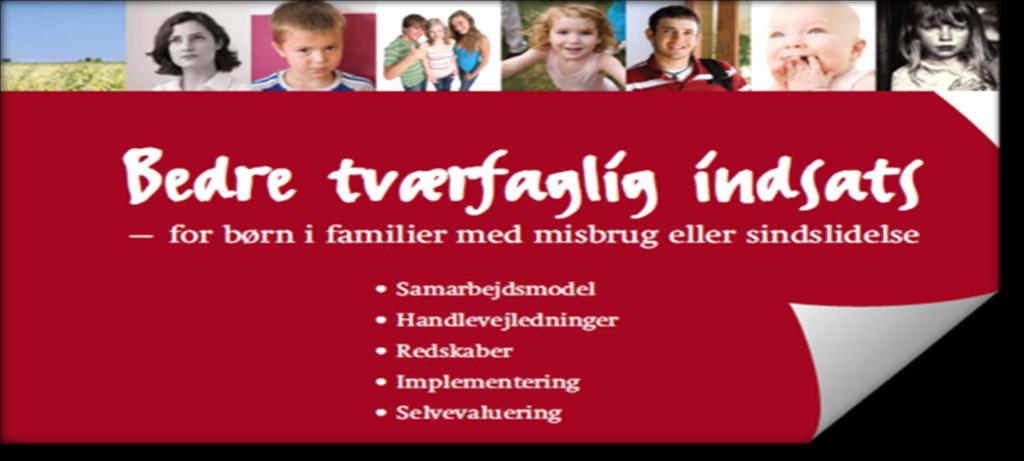 BTI-modellen kommer fra Danmark Samarbeidsmodell utviklet av Socialstyrelsen i Danmark i 2006.