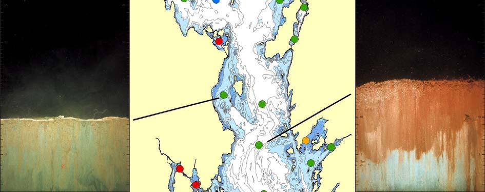 3.1.1 Sentrale del av fjorden Figur 4 viser tilstandsklasse i henhold til BHQ indeksen og et eksempelbilde fra utvalgte stasjoner.