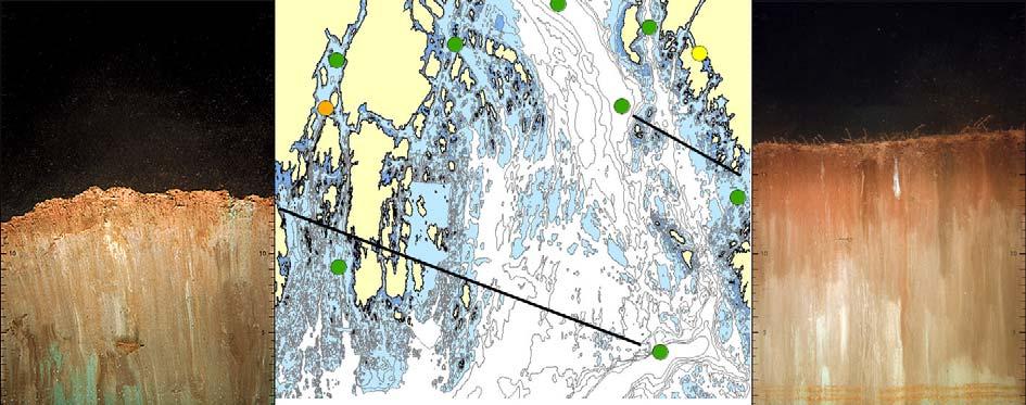 Ved stasjon OF-1 er sedimentoverflaten forstyrret, sannsynligvis på grunn av trålaktivitet. Faunaprøvene viste få arter på denne stasjonen.