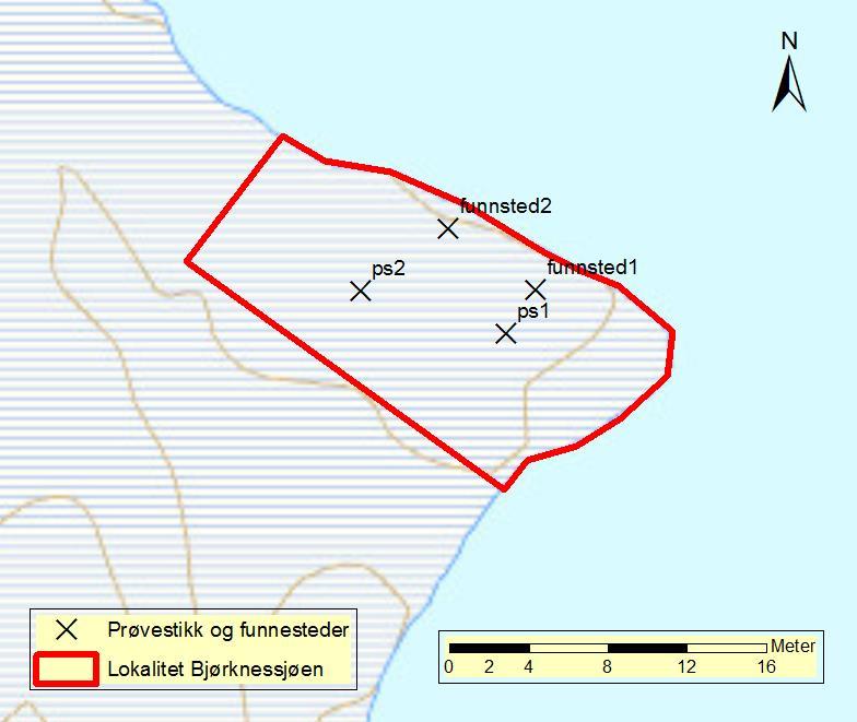 Kart 3: Kart over lokalitet, prøvestikk og funnsteder. Datering Lokaliteten ligger ca. 200 moh.