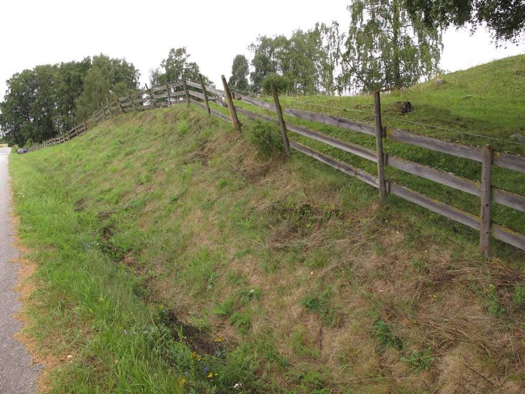 Engpreget erstatningsbiotop (artsrike veg og jernbanekanter) Har engpreget flora og slås gjerne årlig Mange