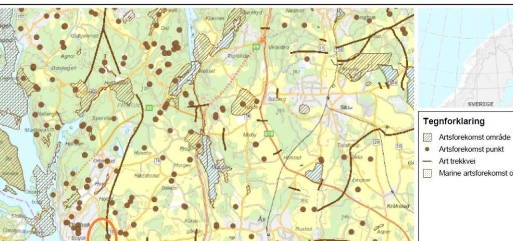 Konsekvensutredning Naturmiljø 105 Figuren under viser de aktuelle elg/vilttrekk i området som brune streker. Data er hentet fra Miljødirektoratet med basis i lokale informanter og kommuner.