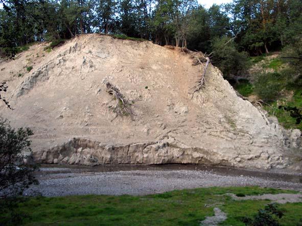 skredmasser og elveavsetninger. Den begrensede penetrasjon av georadarsignalet antyder at finkornede sedimenter finnes under kote ca. 5 m.