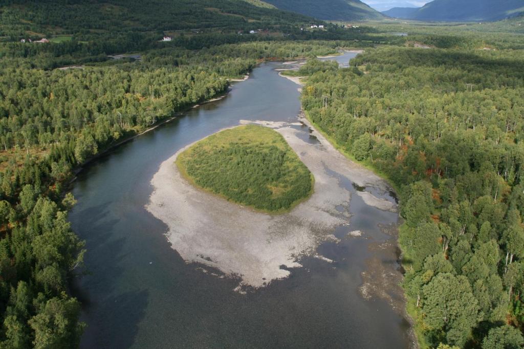 Prosjekt Bedre innlandsfiske i regulerte vassdrag i Troms Rapport 01-2009 Rapport 1-2009 Fiskebiologiske undersøkelser i Barduelva i 2007 og 2008 Øyvind Kanstad Hanssen Bedre fiske i regulerte