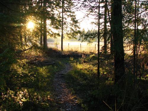 Påmelding og betaling (cash-kontant) i ekspedisjonen i 4.