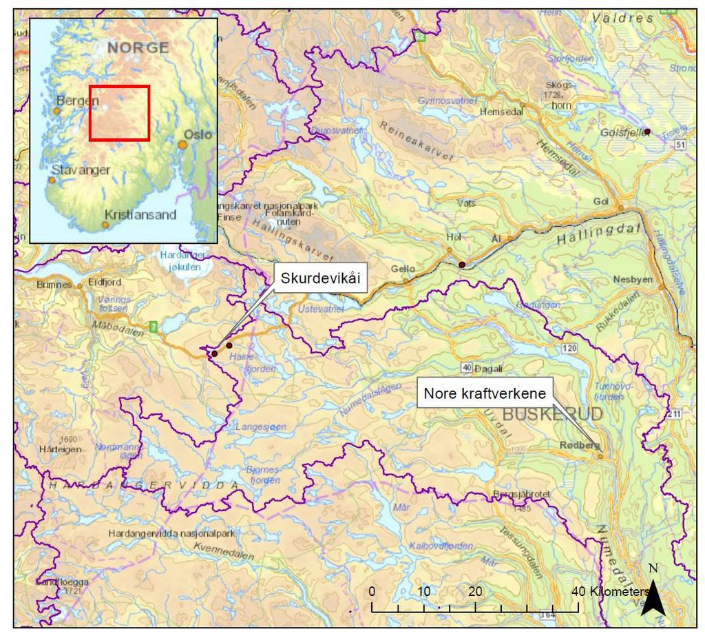 1.2 Stasjonsbeskrivelse Feltet ved Skurdevikåi ligger sentralt til på den nordlige del av Hardangervidda, omtrent 40 km fra Eidfjord (Figur 1). Stasjonen ligger ved Skiftesjøen, langs Riksvei 7.