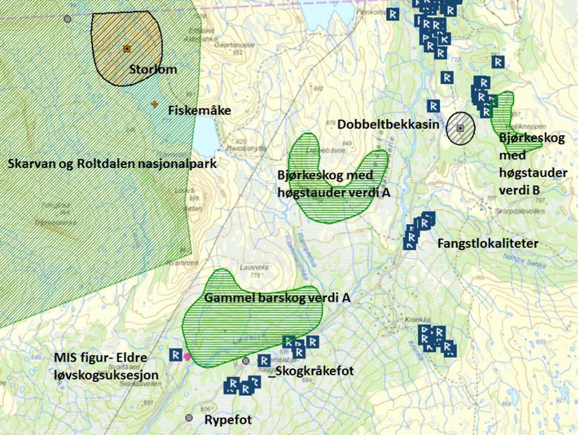 Lødølja: Lokalitet med gammel granskog verdi A ligger akkurat i sørenden av kraftstasjonen. Området er kalkrikt og middels kalkrikt.