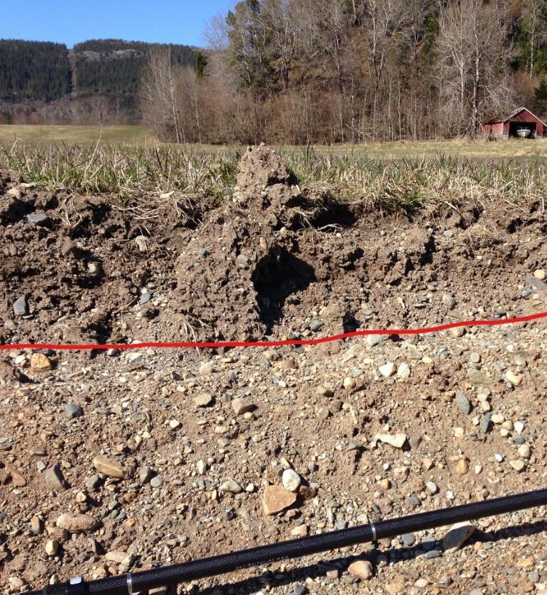 Foto: Rød strek viser overgang mellom matjordlag og undergrunn, målestangen ligger på dagens overflate.