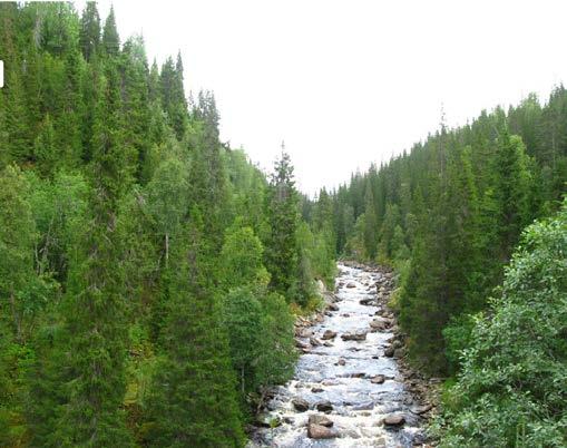 Tekniske inngrep. Området er stort og nærmest fritt for tekniske inngrep. Andre interesser. Området ligger i Østre Vestre Namdal reinbeitedistrikt. Planstatus. LNF-område i kommuneplan.