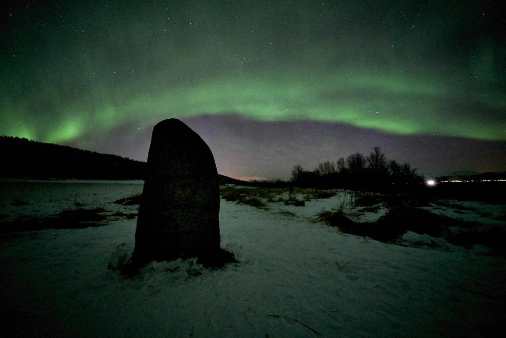 Hvordan har det gått?