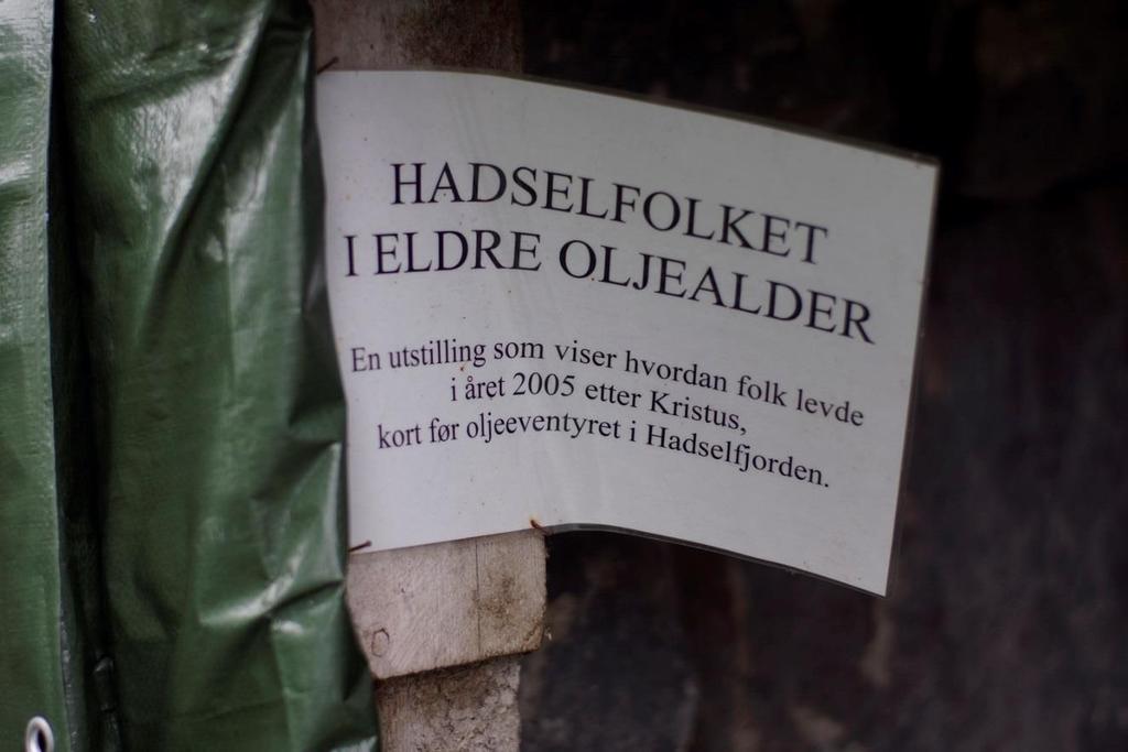 «HADSEL I