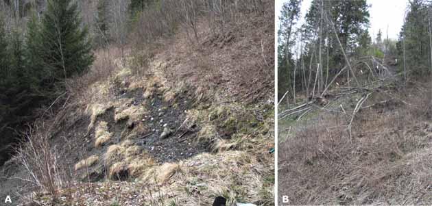 Mårråk og Sjurdsneset. Området er karakterisert av 30 m høye skråninger noe tilbaketrukket fra Stjørdalselva og Funna og adskilt fra denne av terrasseflater.