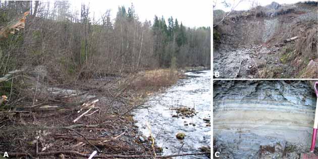 Figur 8: A) Skråningen ved Lauvlimoen nedstrøms Nustedfossen i et elveyttersving langs Stjørdalselva.