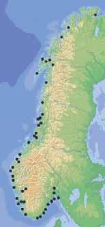 34 KYST OG HAVBRUK 28 KAPITTEL 1 FORVALTNING AV KYSTEN ved enkelte stasjoner, sør i området, noe akkumulering av PSP-gifter i skjellene på grunn av forekomster av Alexandrium spp.