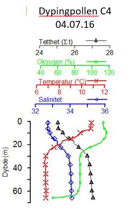 Oksygenmetningen var god i overflaten med 120 % metning. Fra sprangsjiktet var det 80 % metning helt ned mot bunnen hvor den sank til rundt 60 % metning. Figur 3. Vertikalprofiler.