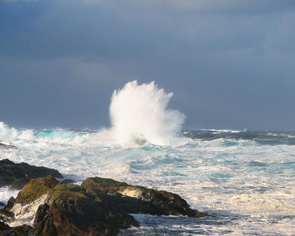 A 23114 - Åpen Rapport Teknologibehov for lønnsom bearbeiding av fryst hvitfisk i norsk fiskeindustri Teknologisk status og teknologibehov i norsk