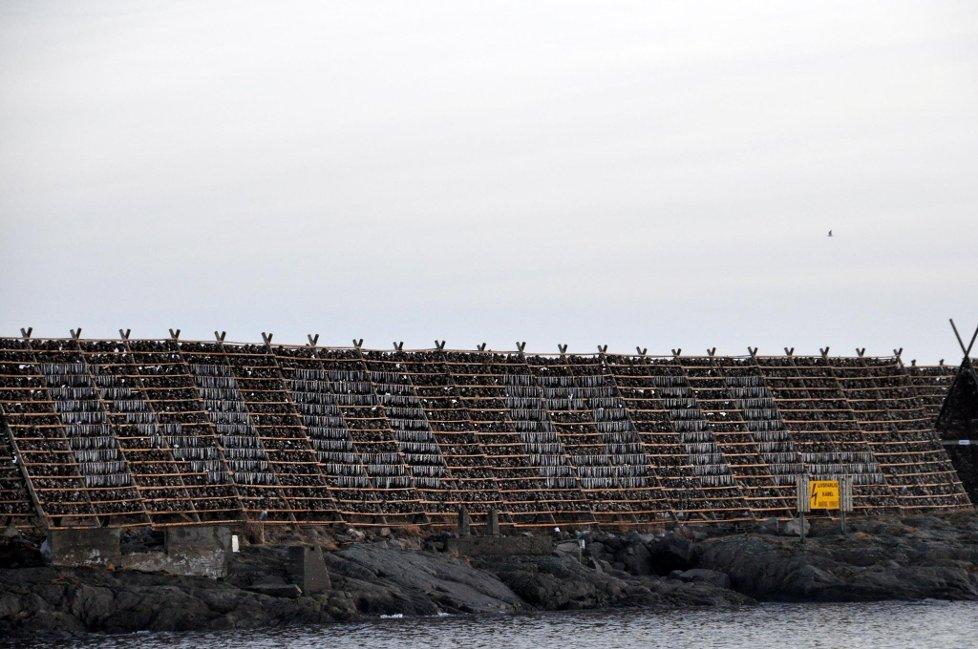 Rapport Spørreundersøkelse om Folkeaksjonen Oljefritt Lofoten, Vesterålen og Senja 2014 Mari Lilleslåtten