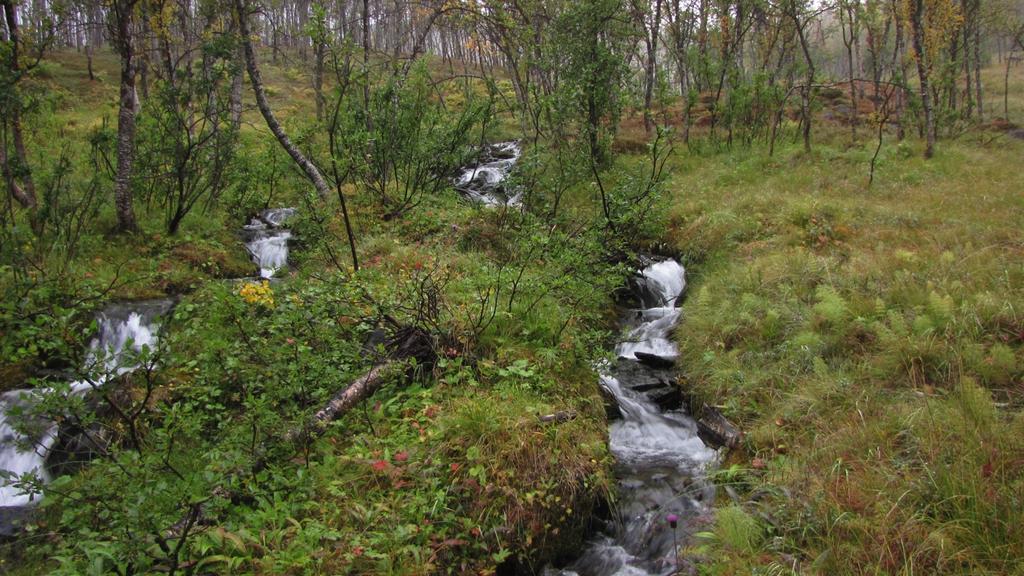 Kraftutbygging i Hjemtverrelva, Rotsunddal i Nordreisa