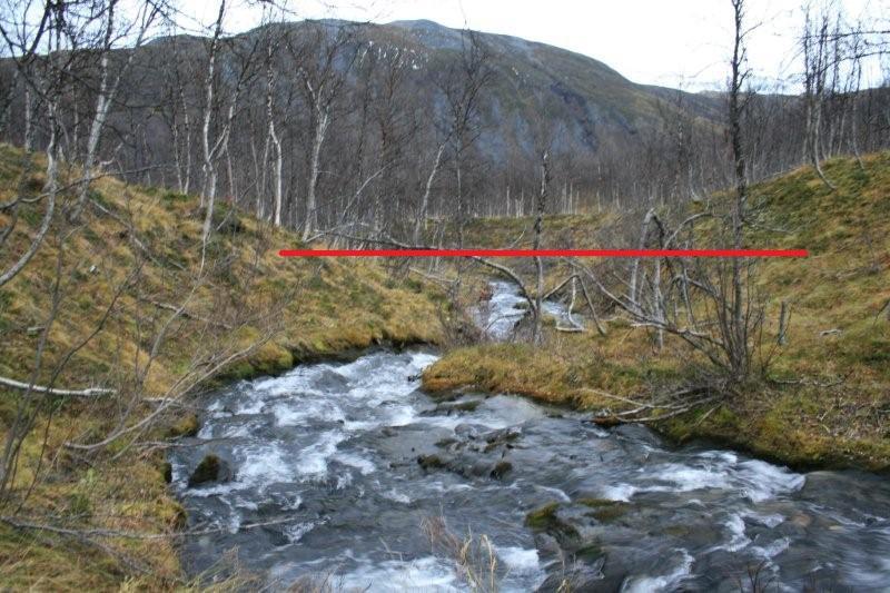 Inntaksområdet i nordlige sidebekk. Foto: Geir Arnesen.