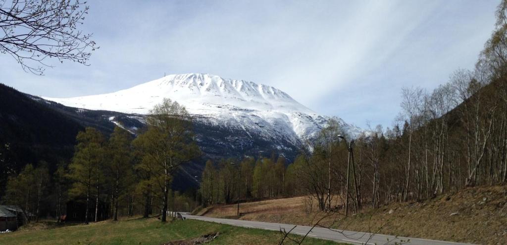 Gaustatoppen møter meg. Flott Jeg er født og oppvokst på Rjukan og har bodd her store deler av mitt liv. For to år siden valgte jeg å flytte tilbake. Jeg bryr meg om byen min.