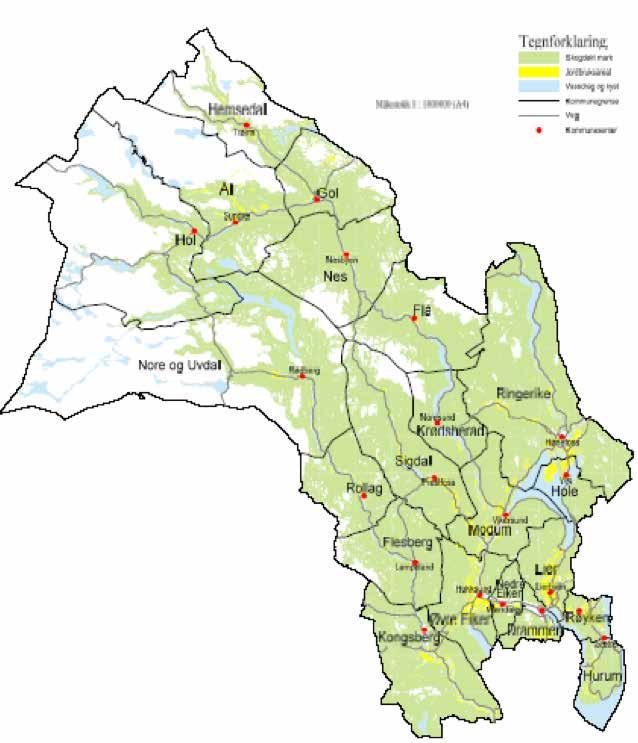 Regional plan for areal og transport for Buskerud høringsutkast 6.2 Utdypende fakta 6.2.1 AREALRESSURSER Buskerud er sine 14.911 km² et arealmessig stort fylke.