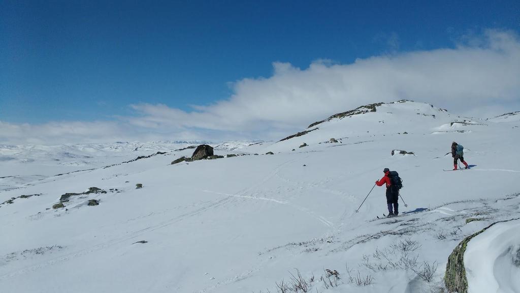 Forslag til planprogram for rullering av Regional plan for Hardangervidda. Høringsutgave 24.08.2017 Hvilket eierforhold har kommunepolitikere og administrasjon til planen?