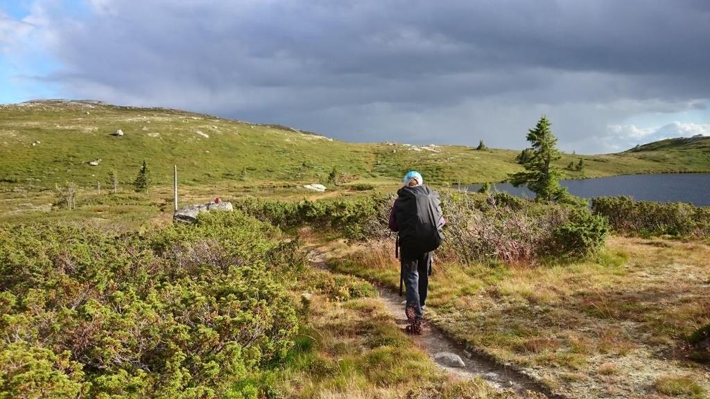 av kommunene Sigdal, Krødsherad, Flå, Nes og Nore og