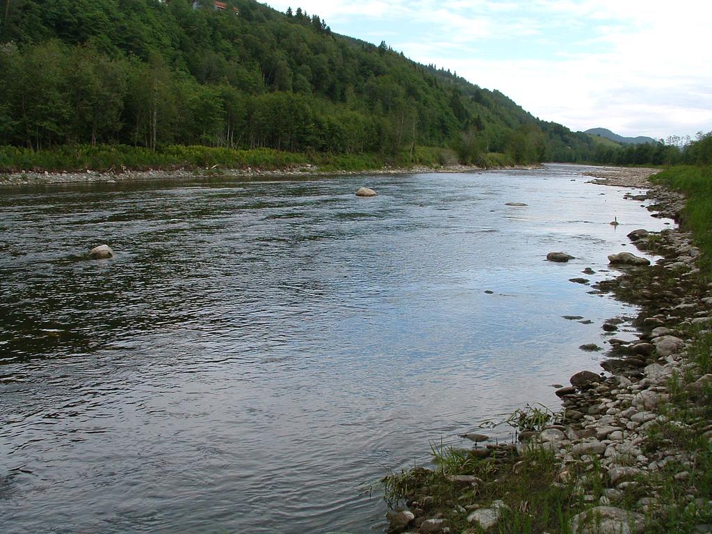 Bedre miljø og mer kraft fra en gammeldags