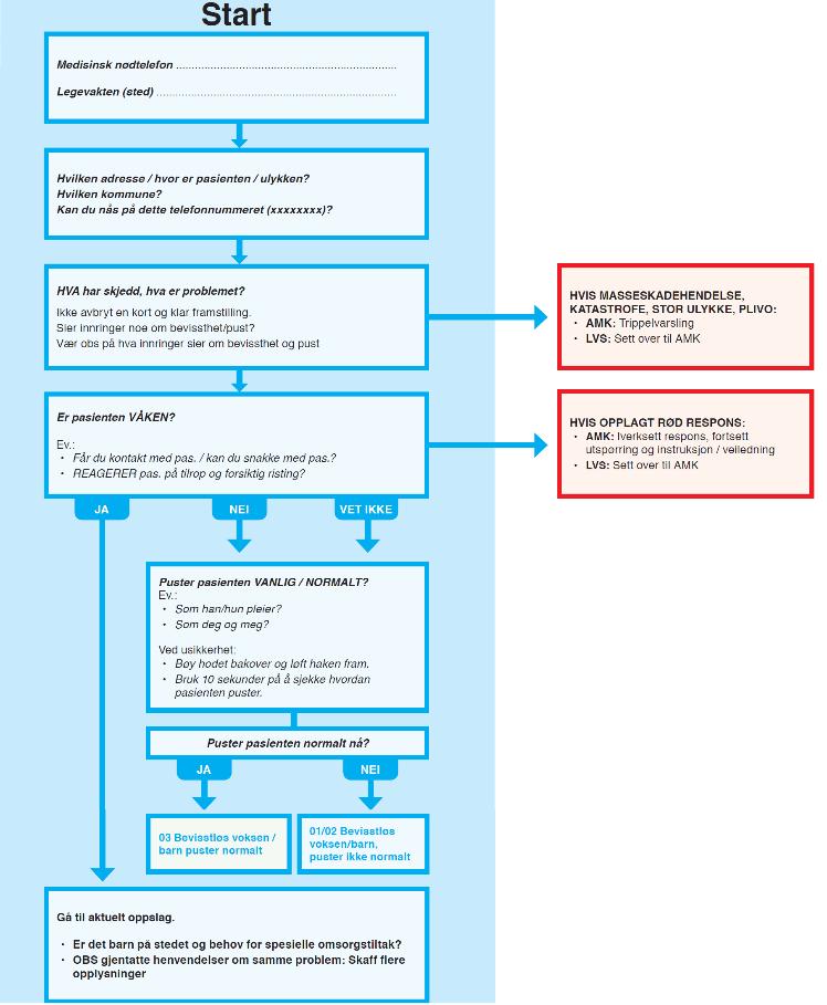 pasienten/ulykken? HVA er problemet?