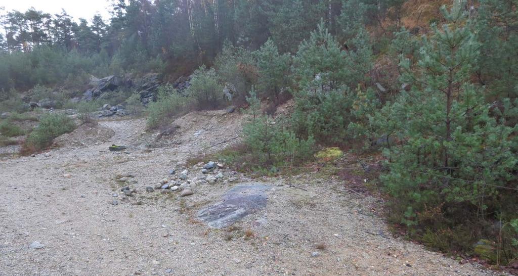 Geofysiske og hydrogeologiske undersøkelser ved Sandvoll 8 Figur 6. Fjellblotning i bunnen av grustaket.