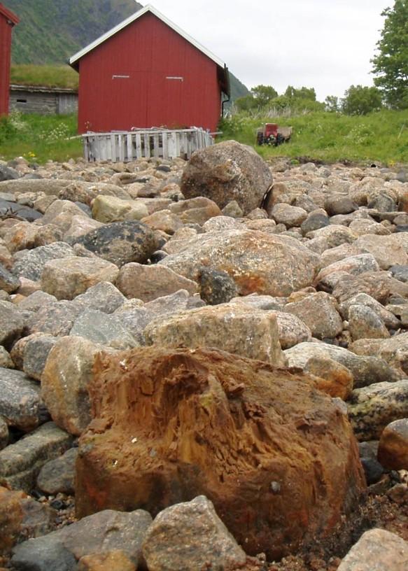 DENDROKRONOLOGISK DATERING AV PÆLEN FRA ALVESTADSJYEN PÅ GRYTØYA, TROMS FYLKE Oppdragsgiver: