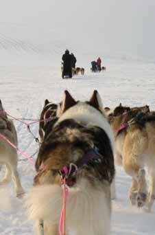 I Longyearbyen utgjør innbyggerne under 20 eller over 60 år bare rundt 27 % av befolkningen. Kvinneandelen i den voksne befolkningen er på 41 %, mens den på fastlandet er på rundt 50 %.