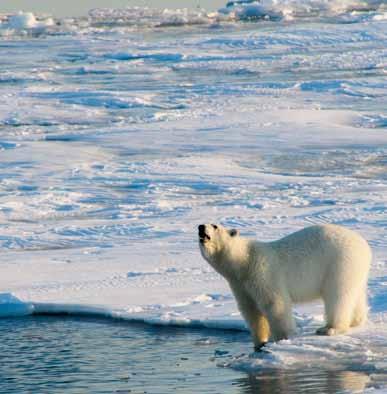 Longyearbyen lokalstyres aktivitet er definert i Svalbardlovens kapittel 5, som slår fast følgende: Forholdene skal legges til rette for et funksjonsdyktig lokalt folkestyre i Longyearbyen, og for en