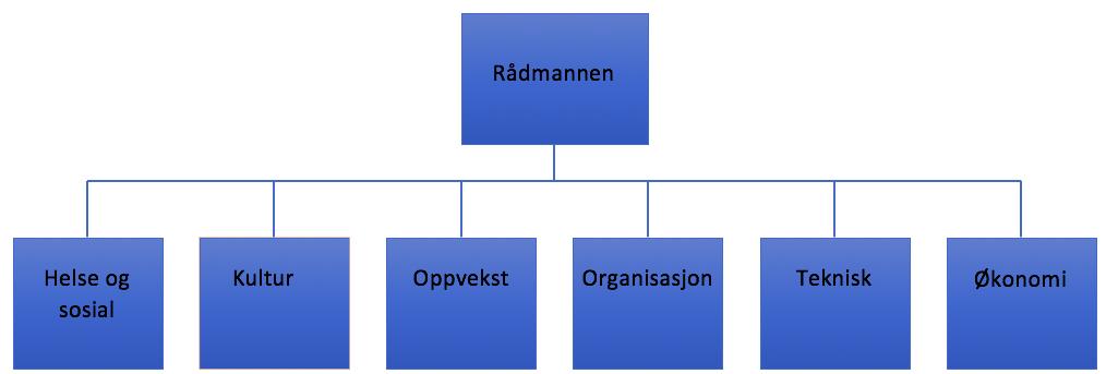 Helsesektoren er Kristiansand Kommunes største sektor både i budsjett og antall ansatte. Sektoren har omkring 3000 ansatte, og har seks avdelinger.