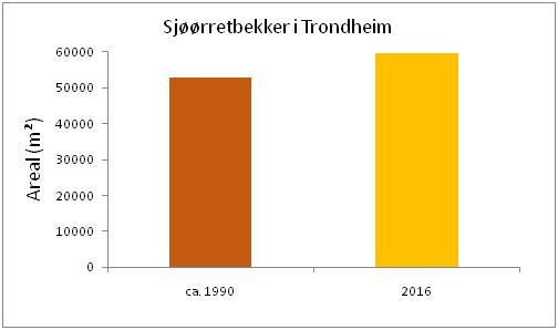 Det var værre før i Trondheimsbekkene 11 % Tapt areal: 1990: 72 % 2016: