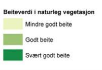 3.0 Digitalt kartverktøy Skog og Landskap (nå NIBO) har etter oppdrag fra Tydal kommune og landbruksnæringens lokale faglag vegetasjonskartlagt tre utplukka områder i Tydal i 2012, på til sammen 79