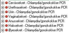 Chlamydia trachomatis PCR og Neisseria gonorrhoeae PCR