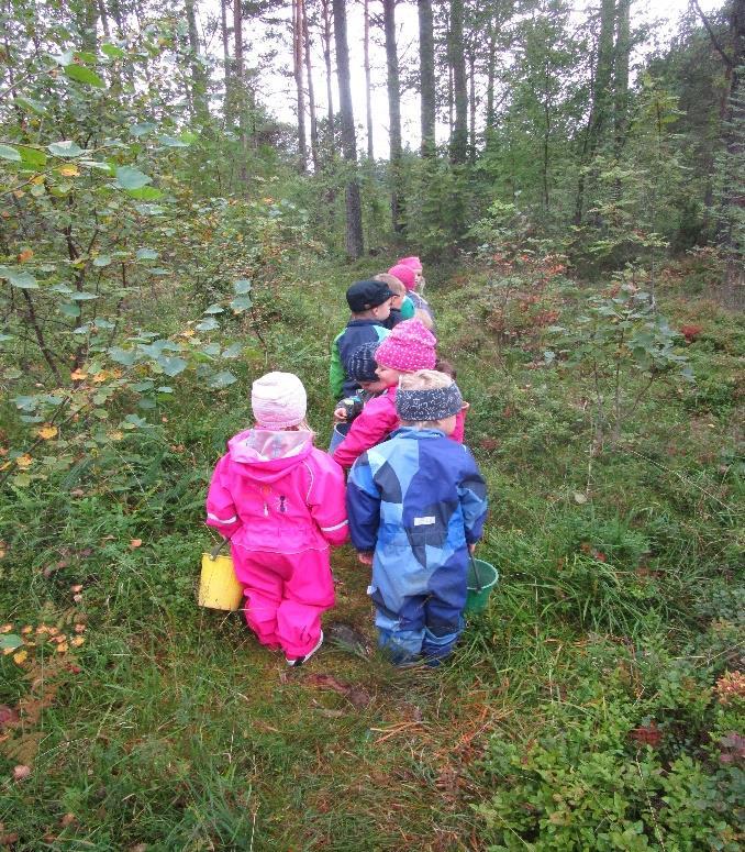 TURER. Svanviken barnehage ligger i et naturskjønt område med mye flott natur på alle kanter.