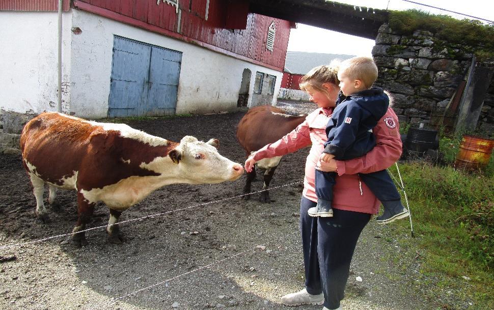 TILVENNING - TILKNYTNING. Mamma og pappa er viktigst for barnet. Tilknytning til foreldrene danner den viktigste rammen rundt barnas utvikling.