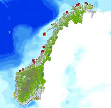 Kartene viser flere internasjonale og nasjonale SMO for strekningen Møre til helgelandskysten/lofoten av de foreslåtte kystnære blokker i Møre I og i tilknytning Nordland I de mest konfliktfylte hvor