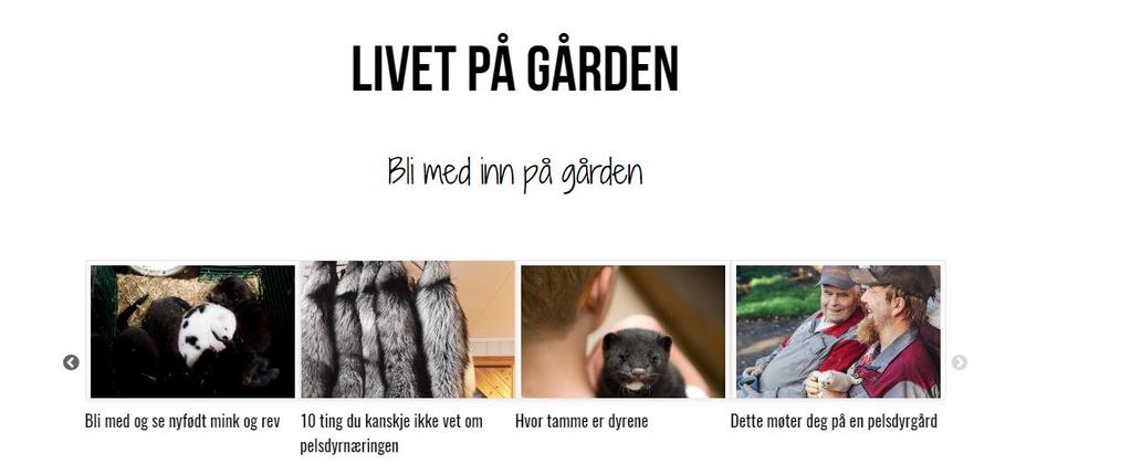 bondens arbeidsantrekk og pelsdyrene som vi finner i flere av sakene på siden livet på gården og i start-siden.