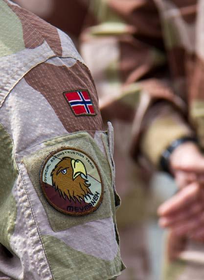 INNLEDNING Med tanke på veteranenes erfaringer og kunnskap kan de også være en ressurs i lokalsamfunnet. Siden 1947 har 100 000 nordmenn tjenestegjort i internasjonale operasjoner på våre vegne.