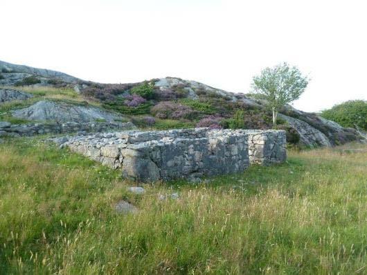 Fin variasjon mellom tørr og fuktig lynghei. Ikkje planta sitkagran. Innmark med rydningsrøyser og murar etter hus litt inne på øya med kystlynghei rundt.