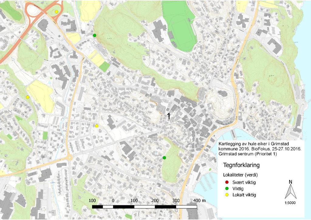 De nykartlagte eikene i 2016 hadde en gjennomsnittsstørrelse på 259 cm i omkrets.