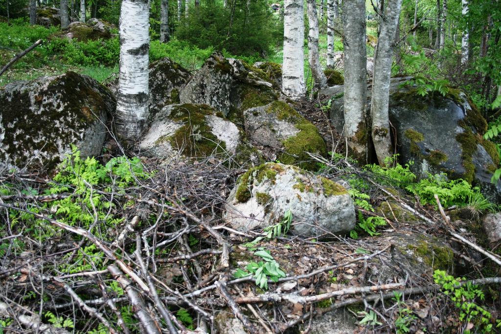 Strukturbeskrivelse F1 Rydningsrøys K133223,F1. Størrelse ca 3x3meter.