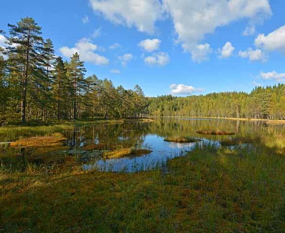 12 Nordre Ovann (Romeriksåsene) Startpunkt: P-plassen ved Nittedal kirke Normal gangtid: 3 timer t/r UTMkoordinat: EUREF89 sone 32N (608155, 6656344) Turbeskrivelse: Nittedal kirke er et fint