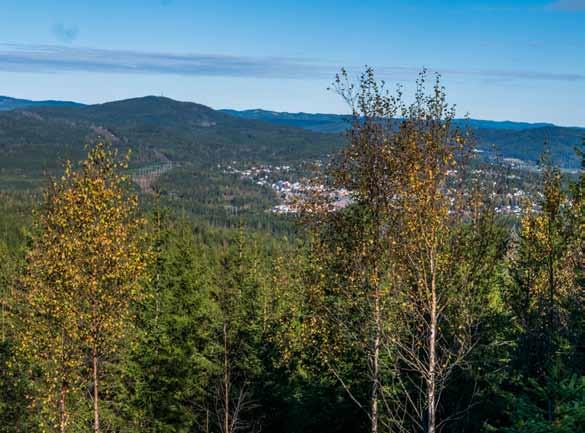 2 Brennberget (Lillomarka) Startpunkt: P-plassen på Sagtomta, Kjul Normal gangtid: 2-3 timer t/r, men rundløypa (4 timer) anbefales UTMkoordinat: EUREF89 sone 32N (603552, 6655254) Turbeskrivelse: