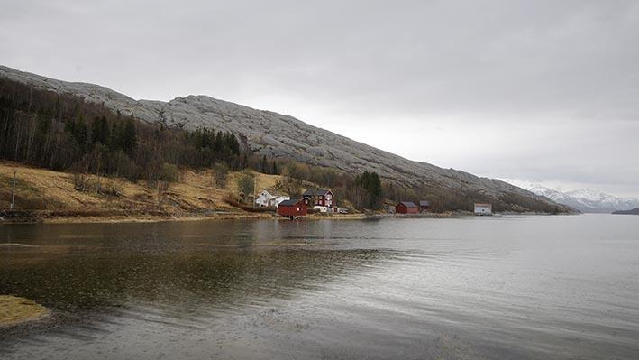 Strandsonen på Naustvollen med